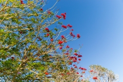 AHI-2009-10-21-08-29-55