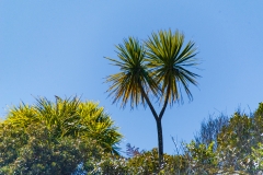 AHI-2009-10-05-12-14-21