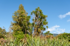 AHI-2009-10-07-10-47-32