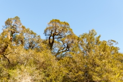 AHI-2009-10-07-12-16-05
