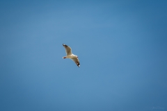 AHI-2009-10-12-10-19-29