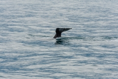AHI-2009-10-14-12-12-08