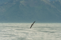 AHI-2009-10-14-12-40-59