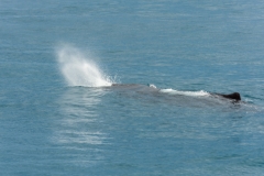 AHI-2009-10-14-12-45-46