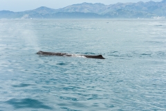 AHI-2009-10-14-12-47-47