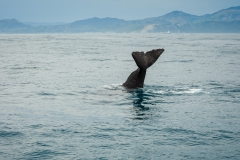 AHI-2009-10-14-12-53-13