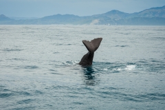 AHI-2009-10-14-12-53-14