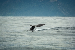 AHI-2009-10-14-13-00-02