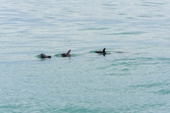 AHI-2009-10-14-13-23-55