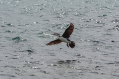 AHI-2009-10-22-13-53-36