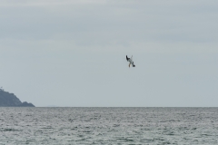 AHI-2009-10-22-14-23-47