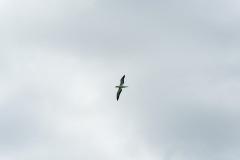 AHI-2009-10-22-14-25-08