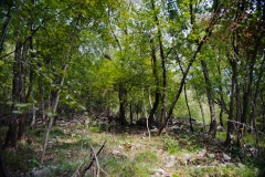 AHI-2011-09-23-10-23-44