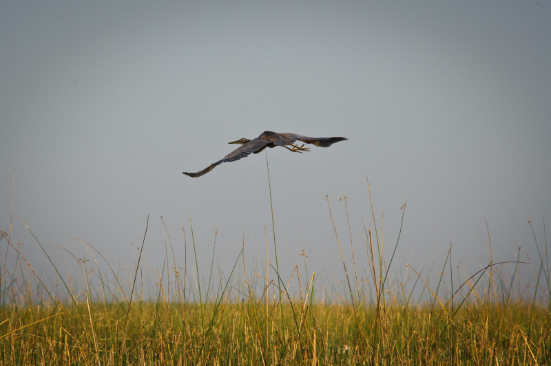 AHI-2011-02-06-08-36-16