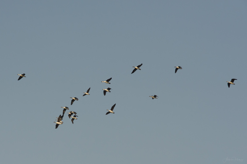 AHI-2011-02-06-08-46-59