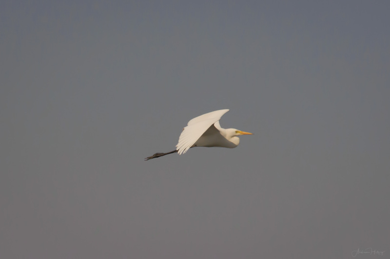 AHI-2011-02-06-09-27-16