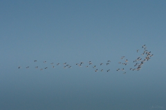 AHI-2011-02-06-07-51-02