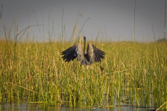 AHI-2011-02-06-08-36-14