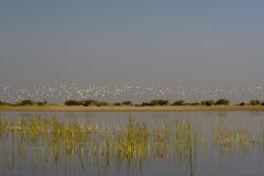 AHI-2011-02-06-09-22-47