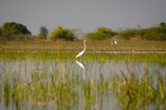 AHI-2011-02-06-09-25-36