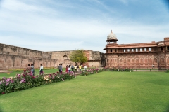 d-i-India-2014-2014-03-20-009