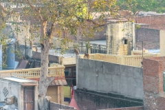 d-i-India-2014-2014-03-21-035