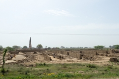 d-i-India-2014-2014-03-21-036