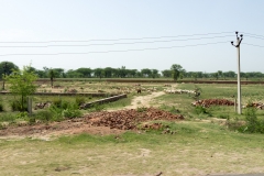 d-i-India-2014-2014-03-21-038