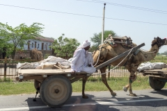 d-i-India-2014-2014-03-21-039