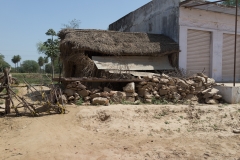 d-i-India-2014-2014-03-21-043