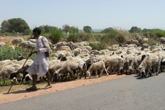 d-i-India-2014-2014-03-21-044