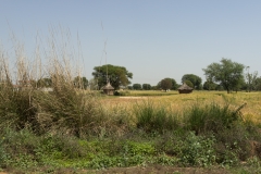 d-i-India-2014-2014-03-21-045
