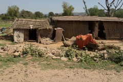 d-i-India-2014-2014-03-21-046