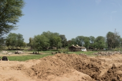 d-i-India-2014-2014-03-21-047