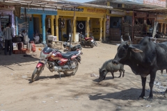 d-i-India-2014-2014-03-21-054