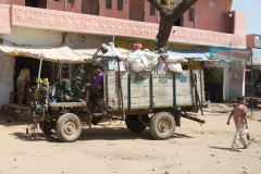 d-i-India-2014-2014-03-21-055