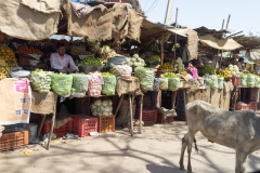 d-i-India-2014-2014-03-21-059