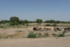 d-i-India-2014-2014-03-21-064