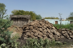 d-i-India-2014-2014-03-21-066