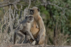 d-i-India-2014-2014-03-22-096