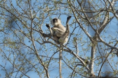 d-i-India-2014-2014-03-22-110