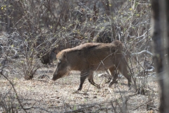 d-i-India-2014-2014-03-22-118