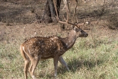d-i-India-2014-2014-03-22-140