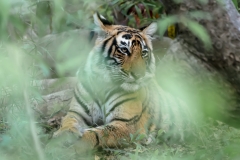 d-i-India-2014-2014-03-22-158