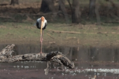 d-i-India-2014-2014-03-23-194