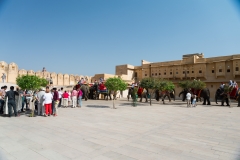 d-i-India-2014-2014-03-24-204