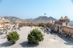 d-i-India-2014-2014-03-24-206