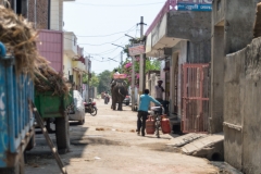 d-i-India-2014-2014-03-24-219