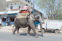 d-i-India-2014-2014-03-24-220