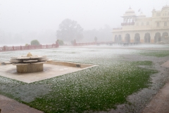 d-i-India-2014-2014-03-24-227